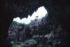 (c) Copyright - Raphael Kessler 2011 - Niue - Avaiki limestone cave