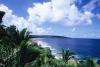 (c) Copyright - Raphael Kessler 2011 - Niue - Coastline and palm trees