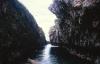 (c) Copyright - Raphael Kessler 2011 - Niue - Matapa Chasm serene water