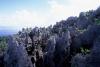 (c) Copyright - Raphael Kessler 2011 - Niue - Togo rocky pinacles along the shoreline