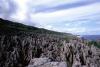 (c) Copyright - Raphael Kessler 2011 - Niue - Togo rocky pinacles along the shoreline