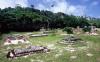 (c) Copyright - Raphael Kessler 2011 - Tonga - Cemetary 