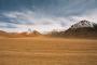 (c) Copyright - Raphael Kessler 2011 - Bolivia - Altiplano - Yellow plain