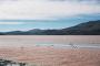 (c) Copyright - Raphael Kessler 2011 - Bolivia - Altiplano - Laguna Colorada (Red lake) flamingos