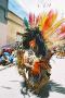 (c) Copyright - Raphael Kessler 2011 - Bolivia - Oruro Carnaval - Old man with lots of feathers