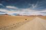 (c) Copyright - Raphael Kessler 2011 - Bolivia - Altiplano - Desert road