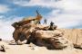 (c) Copyright - Raphael Kessler 2011 - Bolivia - Desert rocks with group all over