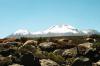 (c) Copyright - Raphael Kessler 2011 - Chile - Torres del Paine - Altiplano