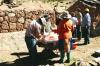 (c) Copyright - Raphael Kessler 2011 - Chile - Desert - Gutting a sheep