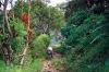 (c) Copyright Raphael Kessler 2011 - Antioquia - Campesino walking away