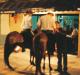 (c) Copyright Raphael Kessler 2011 - Antioquia - At the bar on horseback