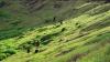 (c) Copyright - Raphael Kessler 2011 - Easter Island - Moai