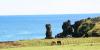 (c) Copyright - Raphael Kessler 2011 - Easter Island - Moai and horses