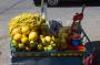 (c) Copyright - Raphael Kessler 2014 - Bolivia - La Paz - fresh orange and grapefruit juice