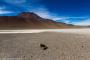 (c) Copyright - Raphael Kessler 2014 - Bolivia - Salar Tour Day 2