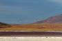 (c) Copyright - Raphael Kessler 2014 - Bolivia - Salar Tour Day 2