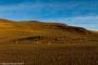 (c) Copyright - Raphael Kessler 2014 - Bolivia - Salar Tour Day 3