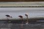 (c) Copyright - Raphael Kessler 2014 - Bolivia - Salar Tour Day 3