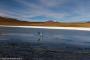 (c) Copyright - Raphael Kessler 2014 - Bolivia - Salar Tour Day 3