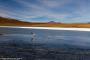 (c) Copyright - Raphael Kessler 2014 - Bolivia - Salar Tour Day 3