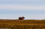 (c) Copyright - Raphael Kessler 2014 - Bolivia - Salar Tour Day 3 - Stone pig