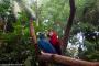 (c) Copyright - Raphael Kessler 2014 - Brazil - Iguacu bird park